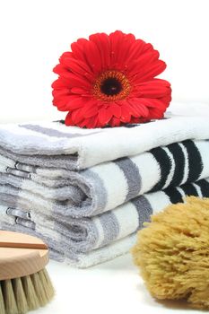 Wellness - brush, flowers and towels - Personal Care