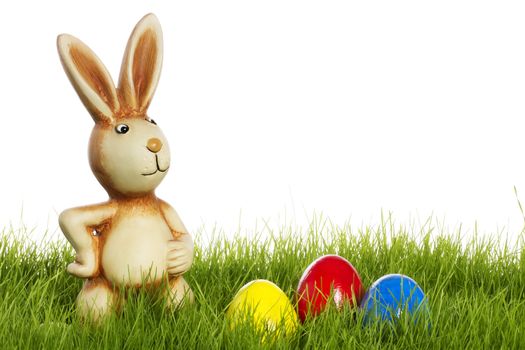 easter bunny with easter eggs in grass with white background