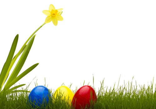 three easter eggs in grass with a daffodil with white background