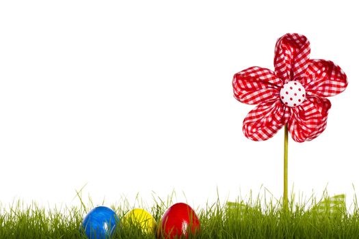 easter eggs in grass with drapery flower on white background
