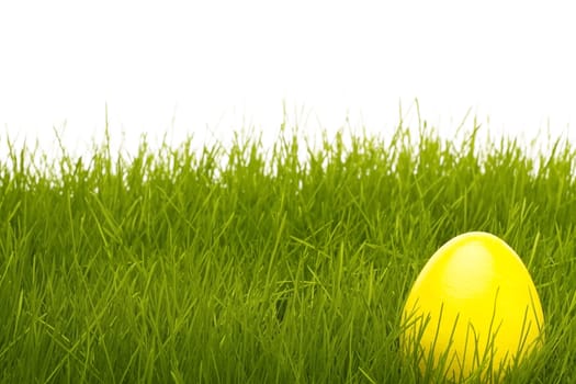 yellow easter egg in grass with white background