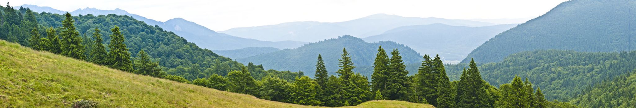 Panorama background in Carpathians. Beautiful mountains and landscape in Romania.