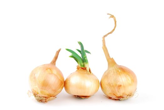 bunch of onions isolated on white background