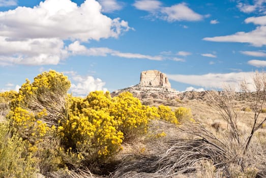 Clouds roll in on Fall day in Arizona desert