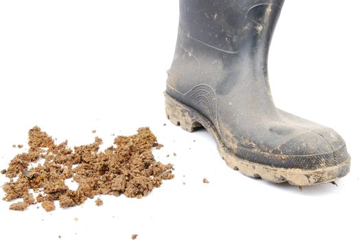 one muddy farmer boot isolated on a white background