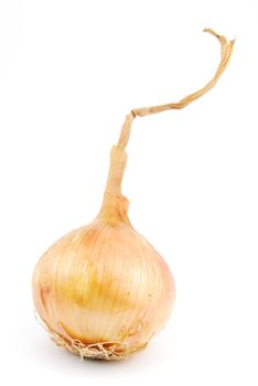 beautiful onion isolated on white background