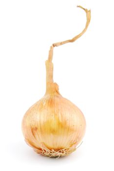 beautiful onion isolated on white background