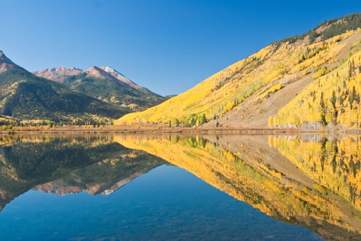 Fall reflects golden aspens in Crystal Lake near Ouray Colorado