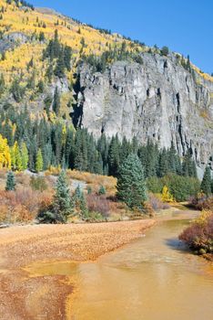 River runs yellow in the high country of Colorado in Fall