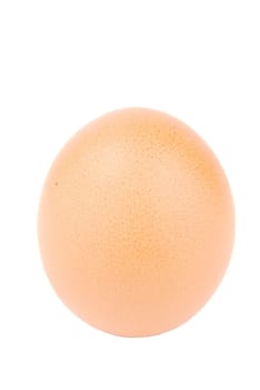 close-up of a egg isolated on white background