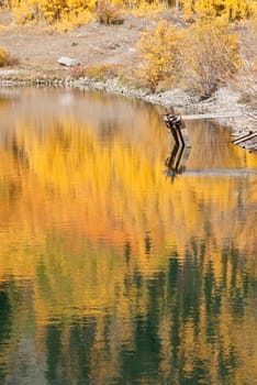 Fall color reflects in Crystal Lake Colorado