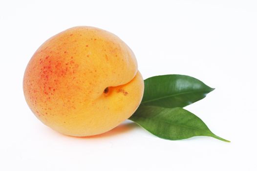 One apricot on white background