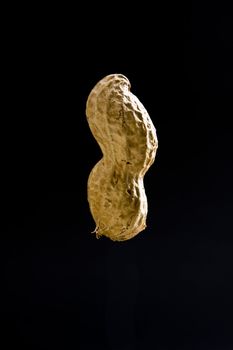 Isolated closeup of peanut in shell on black background