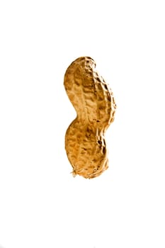 Isolated closeup of peanut on white background
