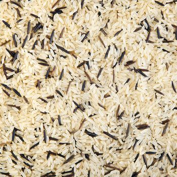 Wild and long grain rice texture or background