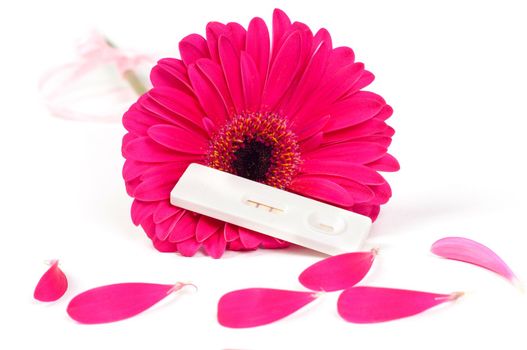 Shot of positive pregnancy test and gerbera