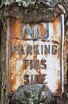 An old No Parking sign using a tree as the sign post