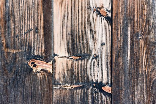 A wood background showing detail and texture