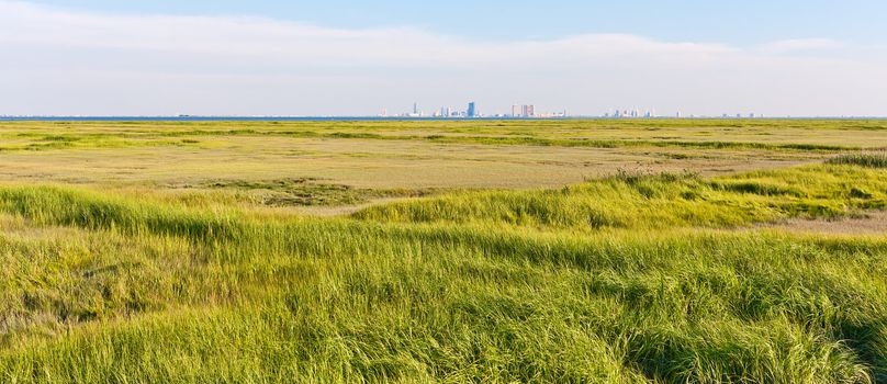 Panorama of the Atlantic City, New Jersey skyline. The foreground is a marsh with green grass (Forsythe Wildlife Refuge).