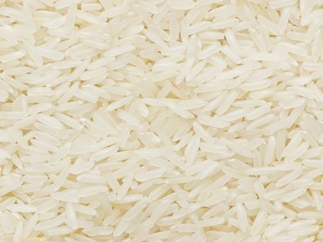 close up of raw polished white rice