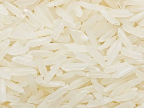 close up of raw polished white rice