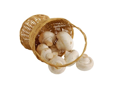 Fresh champignons spilled from small interwoven straw basket