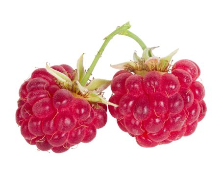 branch of two ripe raspberries, isolated on white