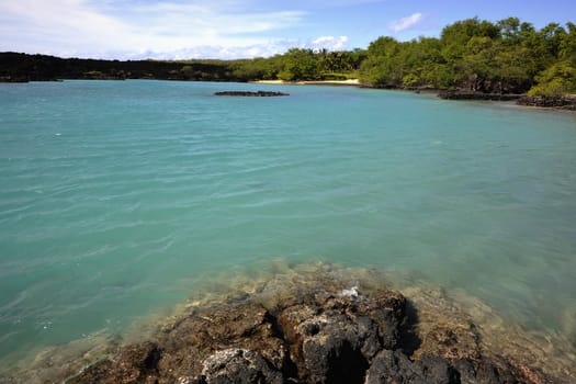 Tropical coast. Coast covered with a lava at transparent water of silent ocean. 