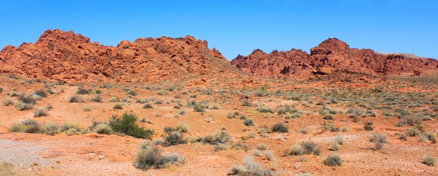 Panoramic view of the desert at Valley of Fire State Park in Nevada.
