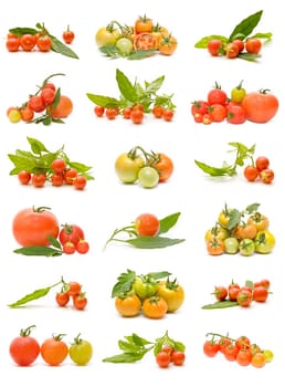 varied collection of tomatoes isolated on white background
