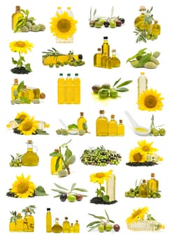 collection of olive oil and sunflower oil isolated on white background
