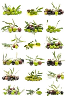 collection of fresh olives isolated on white background
