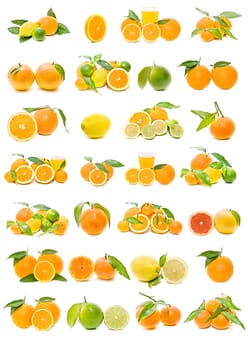 fresh citrus collection isolated on white background

 