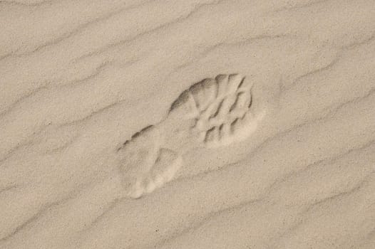 Sport footwear print on light sand with diagonal pattern created by wind