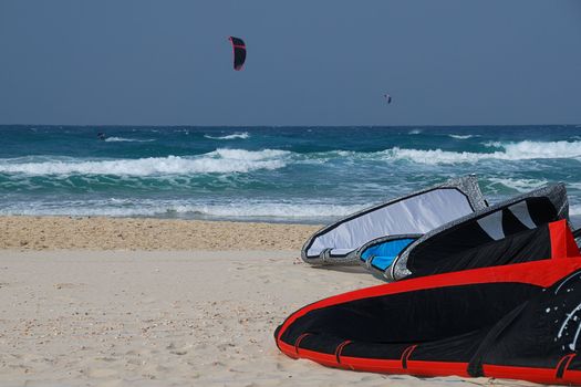 Beautiful beach with kites lying on sand at front and flying at blue sky background