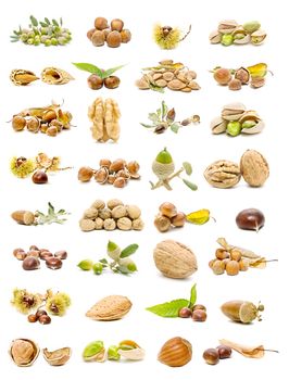 mixed nuts gathered in  collection isolated on white background
