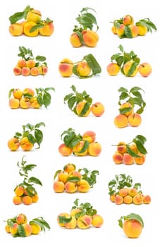 ecological peaches isolated on white background
