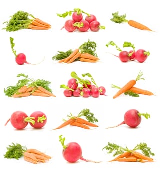 radishes and carrots collection isolated on white background