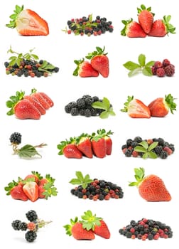 wild fruit collection isolated on white background
