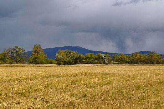 The landscape an oblique field begins a rain  