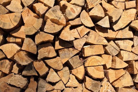 texture series: dry firewood background on sun