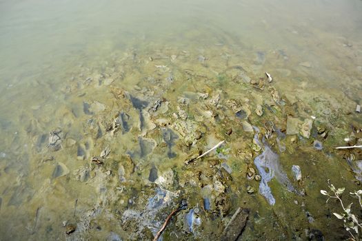 Polluted river bed