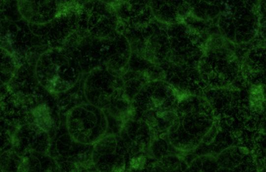 Seamless Micro Organism Background as a Pattern