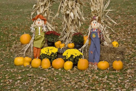 Halloween display Minnesota Pumpkin scarecrow corn maize