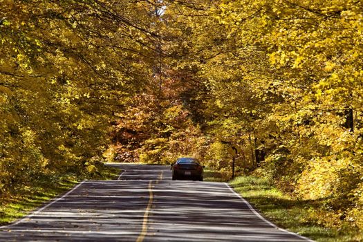 Autumn Trees fall Michigan colors beautiful red orange