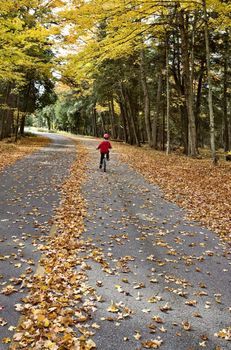 Autumn Leaves on road northern Michigan child on bicycle bike