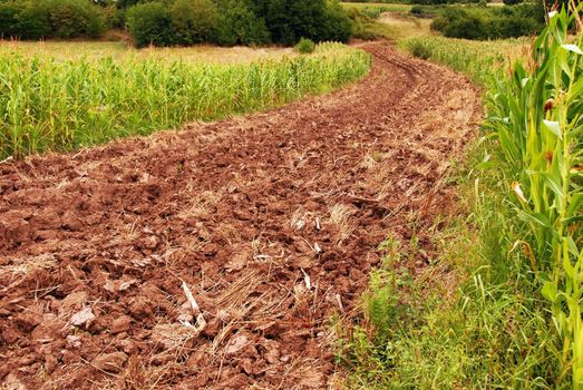 plowed field, ploughed brown earth rural landscape