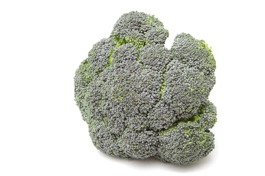 Photo of broccoli isolated on the white background
