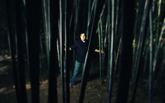A cross process photo of a man standing in a bamboo forest