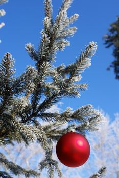 a red bauble in snowy winter landscape